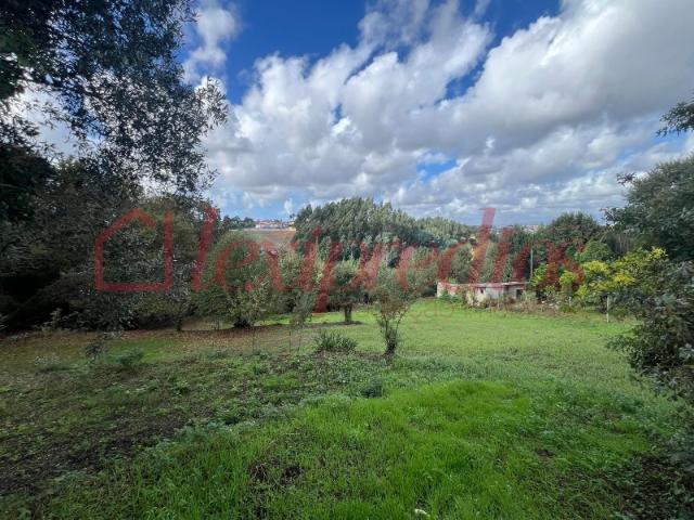 Terreno venda em Quinta do Morangal, Águeda