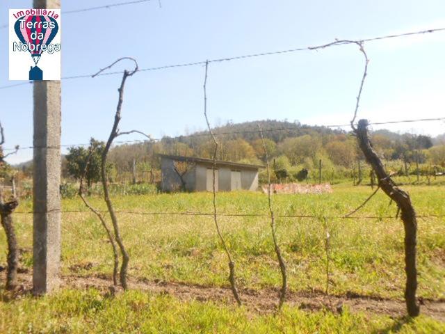Terreno venda em Grovelas São João Evangelista, Viana Do Castelo