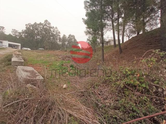 Terreno venda em Campo, Viseu