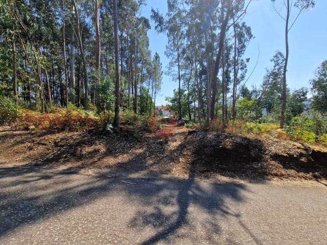 Terreno venda em Valença, Viana Do Castelo