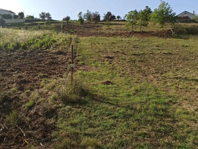 Terreno venda em Pombal, Leiria