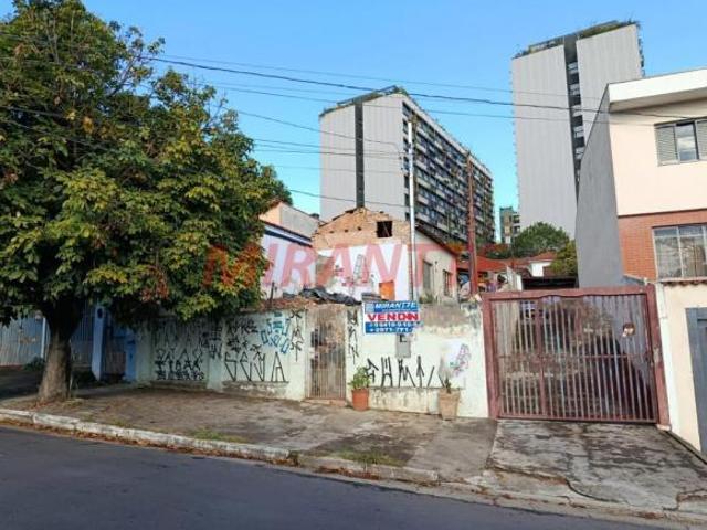 Terreno venda em Vila Argentina, São Paulo