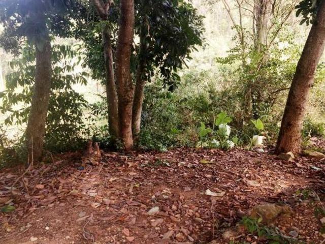 Terreno venda em Região Geográfica Imediata de Lavras, Nepomuceno