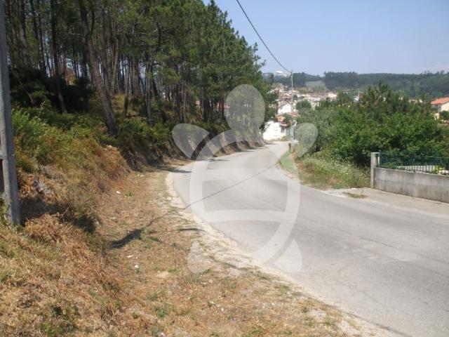 Terreno venda em Coimbrã, Coimbra