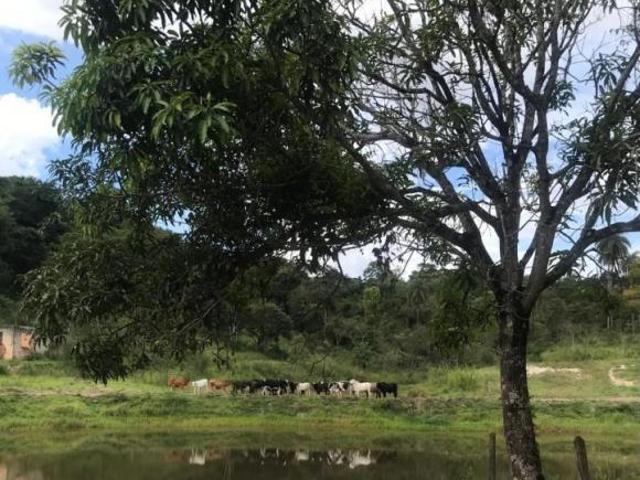 Terreno venda em Região Geográfica Imediata de Belo Horizonte, Região Metropolitana de Belo Horizonte