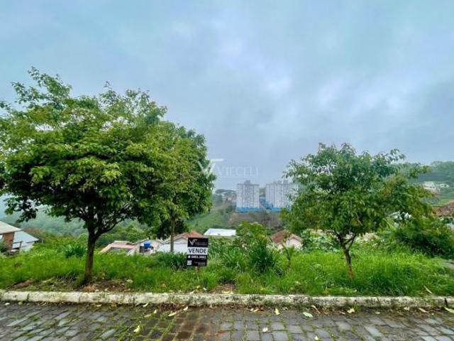 Terreno venda em Região Geográfica Imediata de Bento Gonçalves, Bento Gonçalves