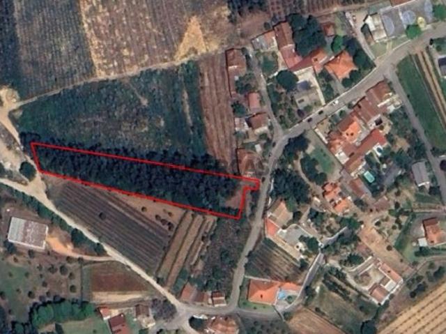 Terreno venda em Agadão, Águeda