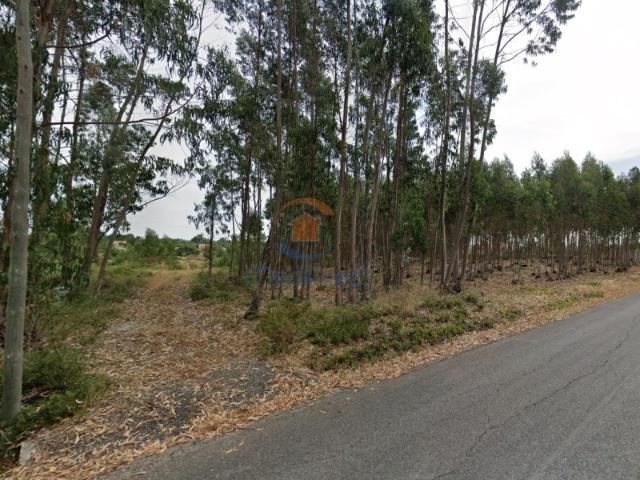 Terreno venda em Casais da Lapa, Cartaxo