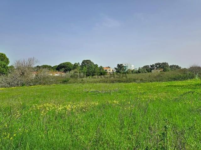 Terreno venda em Sesimbra, Setúbal
