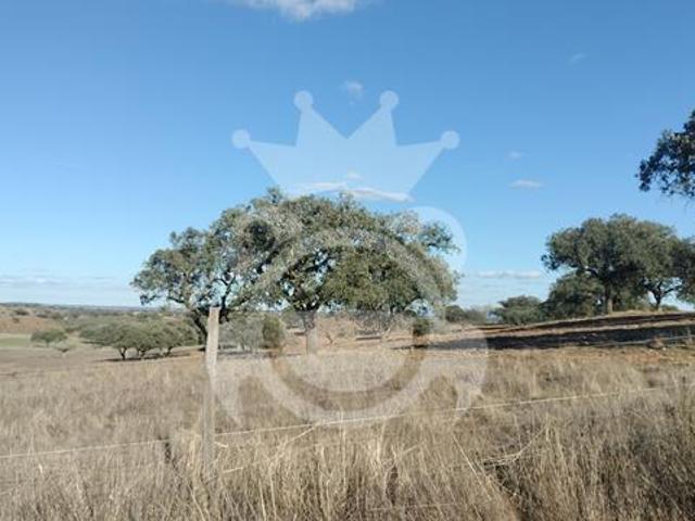 Terreno venda em Alandroal, Alandroal (Nossa Senhora da Conceição), São Brás dos Matos (Mina do Bugalho) e Juromenha (Nossa Senhora do Loreto)