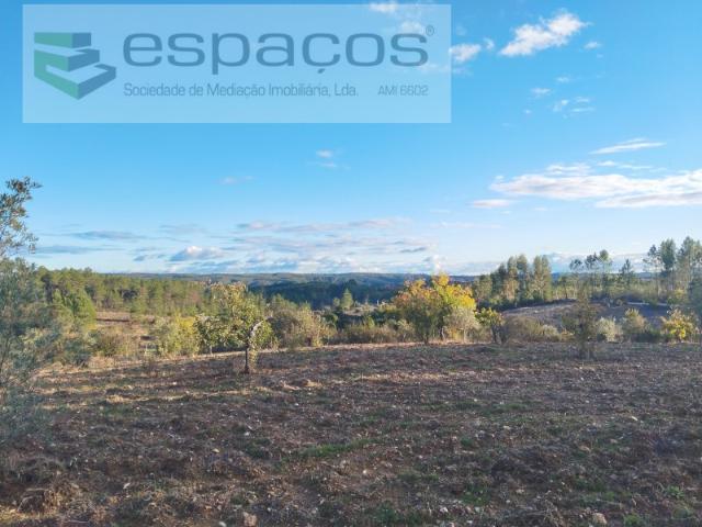 Terreno venda em Castelo Branco
