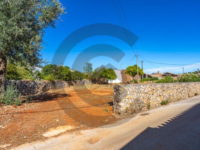 Terreno venda em Torres Novas, Santarém