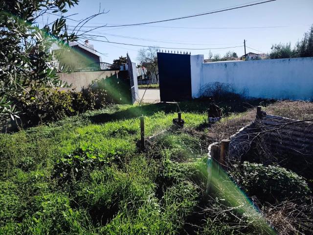 Terreno venda em Gavião, Portalegre