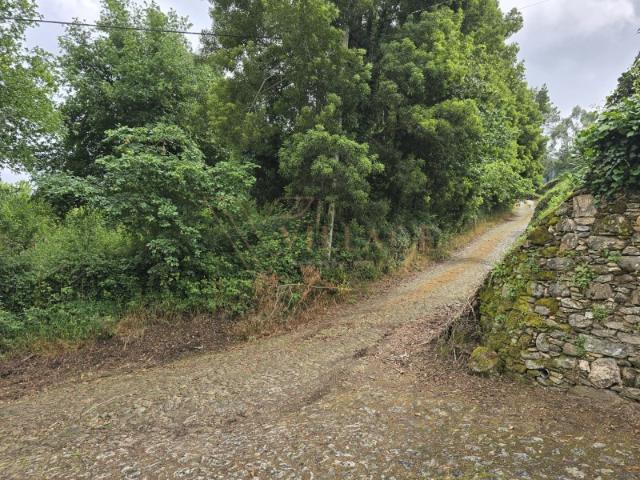 Terreno venda em Arga De Baixo, Viana Do Castelo