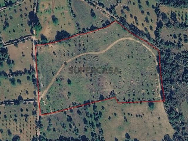 Terreno venda em Faro