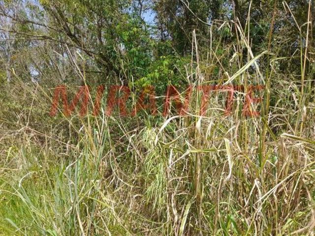 Terreno venda em Birigui