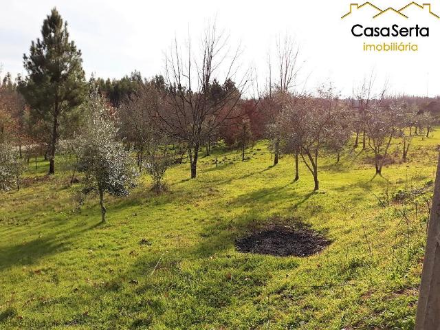 Terreno venda em Pedrógão Grande, Leiria