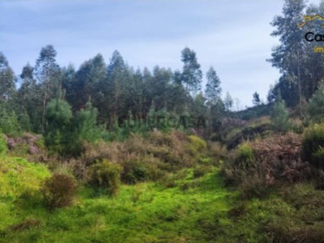 Terreno venda em Castelo Branco, Cumeada