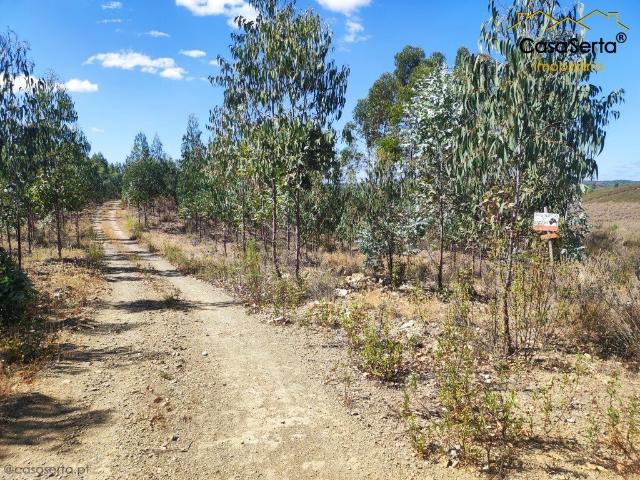 Terreno venda em Castelo Branco, Proença-a-nova