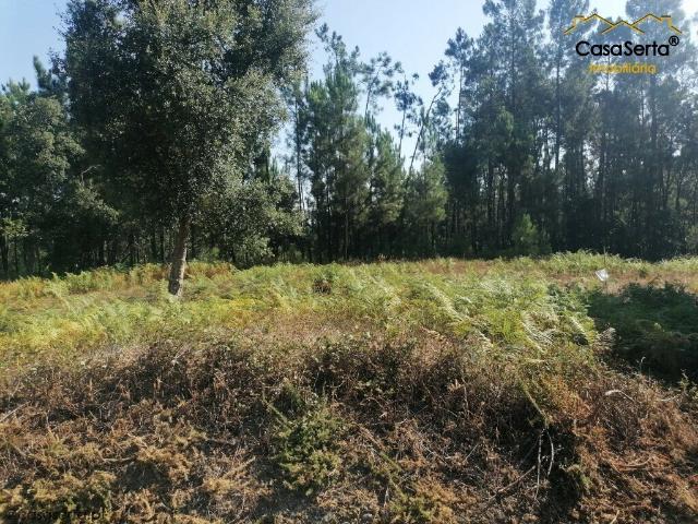 Terreno venda em Castelo Branco, Cumeada