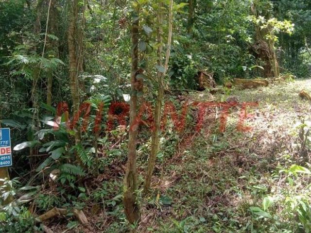 Terreno venda em Boa Vista