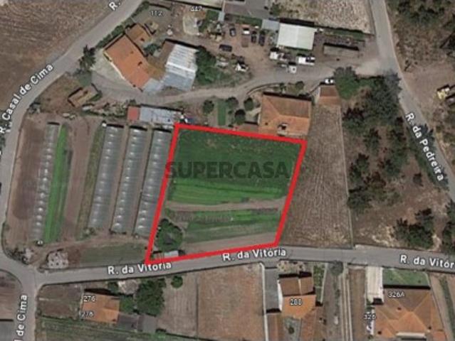 Terreno venda em Leiria