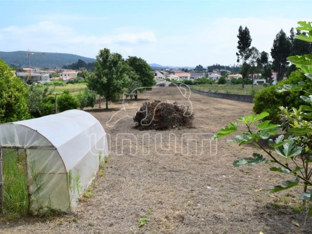 Terreno venda em Viana Do Castelo