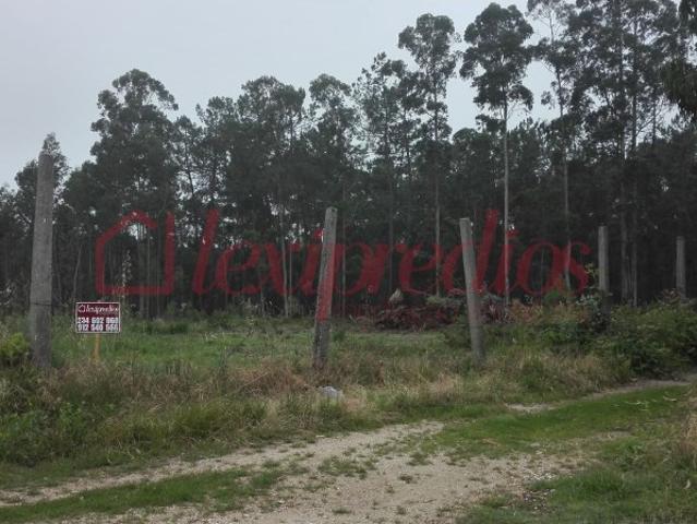 Terreno venda em Águeda, Aveiro