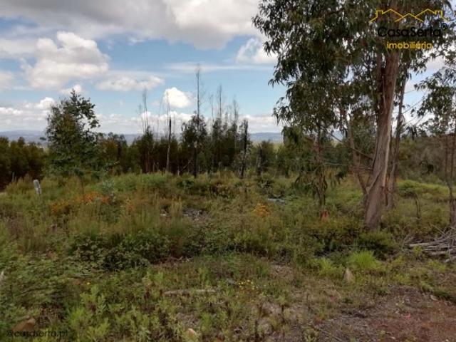 Terreno venda em Castelo Branco, Cumeada