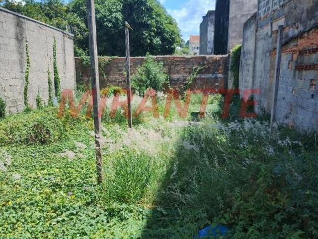 Terreno venda em Jardim Modelo, São Paulo