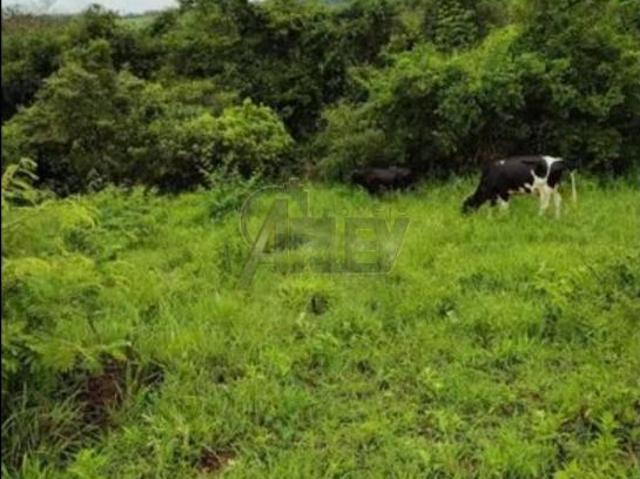 Terreno venda em Região Geográfica Imediata de Montes Claros, Montes Claros