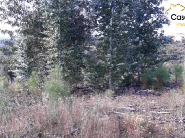 Terreno venda em Castelo Branco, Cumeada