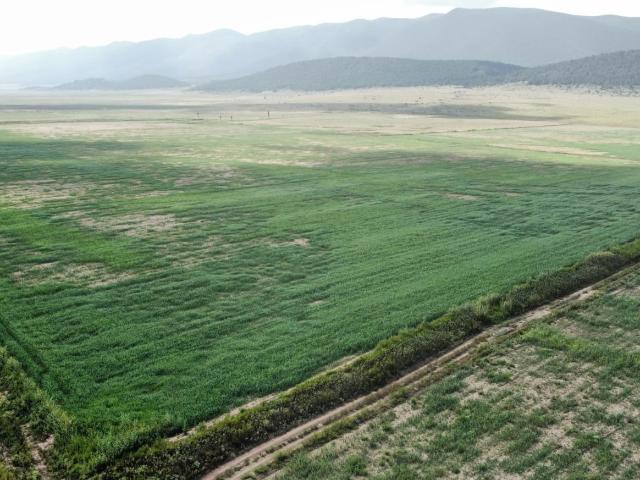 Terreno en venta en Santa Anita del Peñasco, San José de la Martha