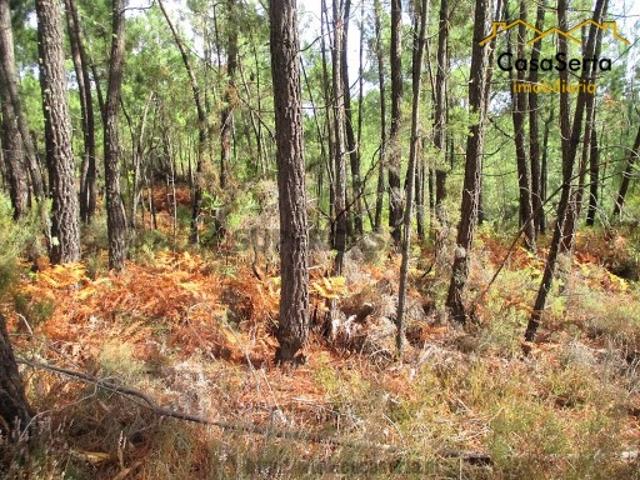 Terreno venda em Castelo Branco, Cumeada