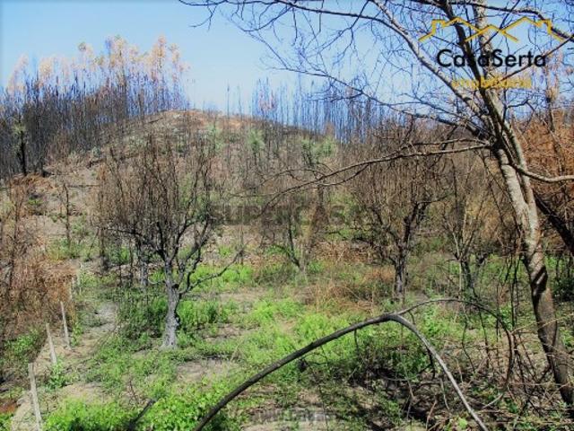 Terreno venda em Castelo Branco, Cumeada