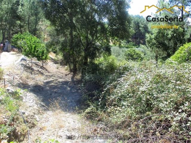 Terreno venda em Castelo Branco, Cumeada