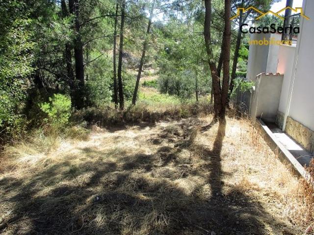 Terreno venda em Castelo Branco, Cumeada