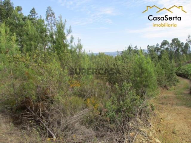 Terreno venda em Castelo Branco, Cumeada