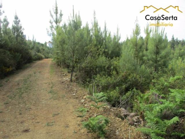 Terreno venda em Castelo Branco, Cumeada