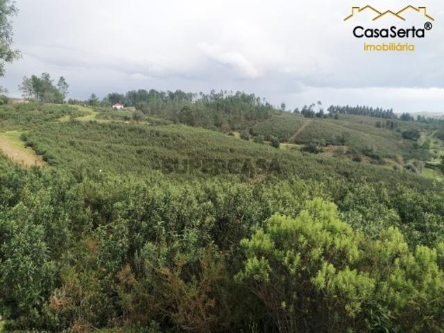 Terreno venda em Castelo Branco, Cumeada