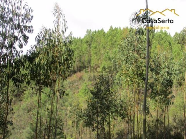 Terreno venda em Castelo Branco, Cumeada
