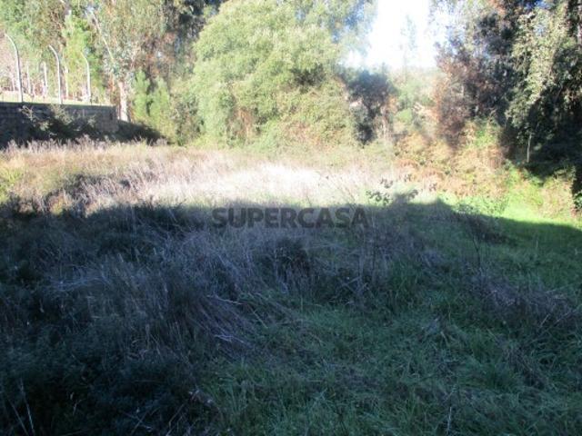 Terreno venda em Castelo Branco, Cumeada