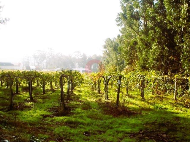 Terreno venda em Melgaço, Viana Do Castelo