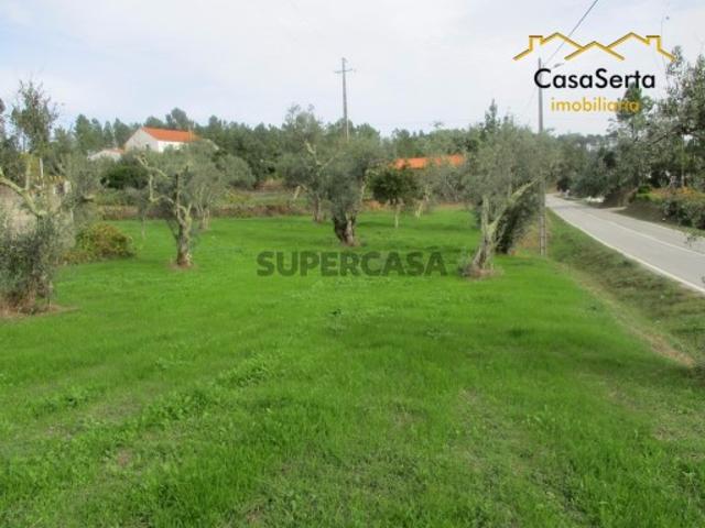 Terreno venda em Castelo Branco, Cumeada