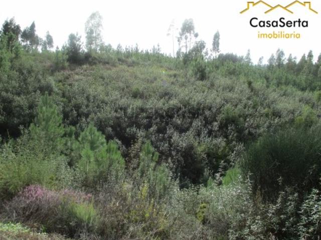 Terreno venda em Castelo Branco, Cumeada