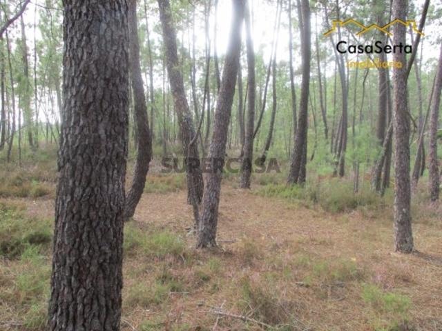 Terreno venda em Castelo Branco, Cumeada