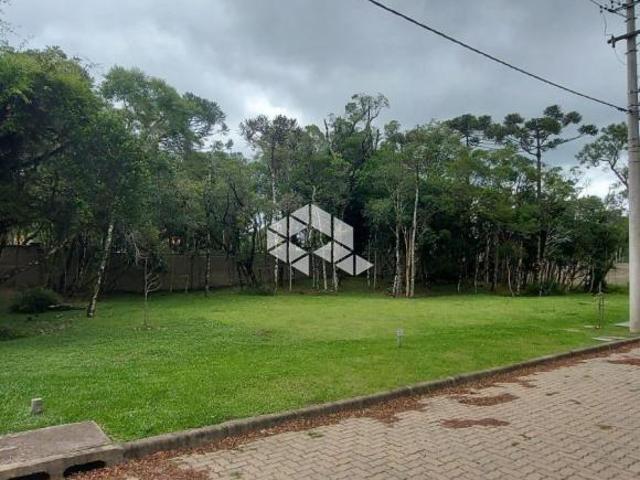 Terreno venda em Canela