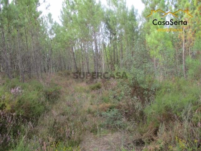 Terreno venda em Castelo Branco, Cumeada
