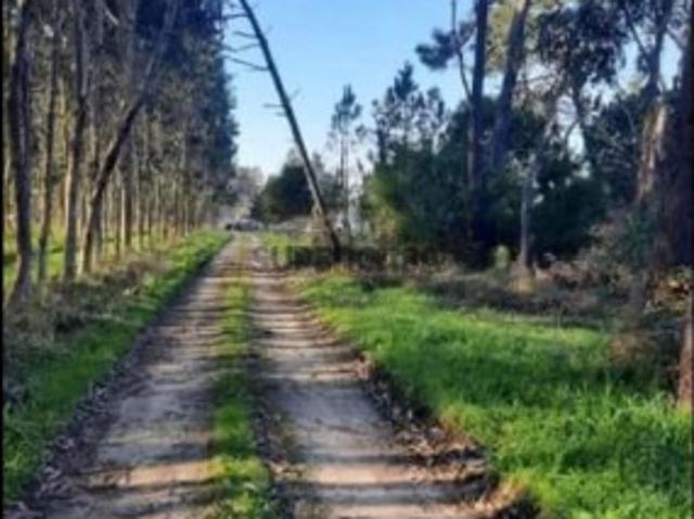 Terreno venda em Alhadas de Cima, Figueira Da Foz