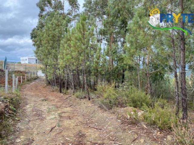 Terreno venda em Castelo Branco, Cumeada